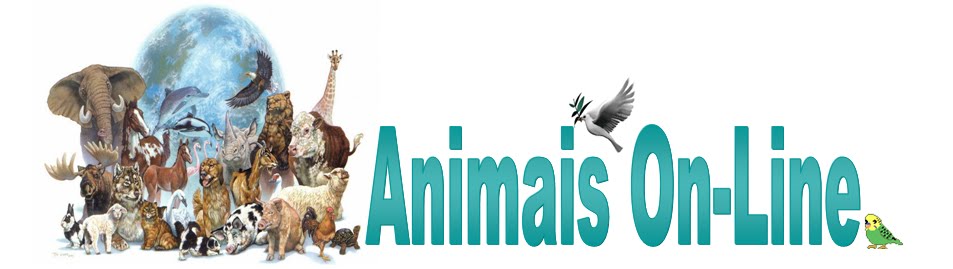 Animais On-Line