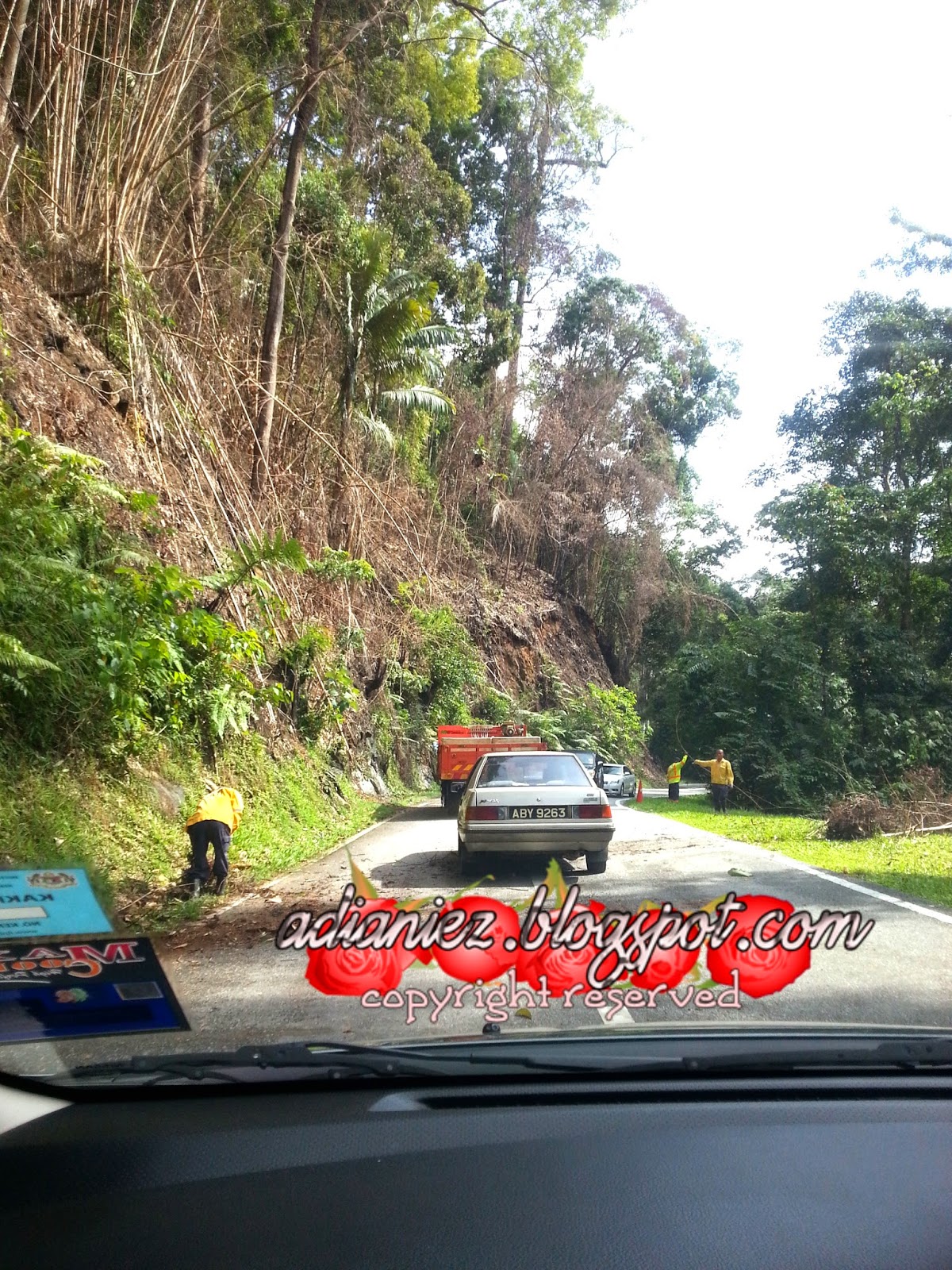 FINALLY, SINGGAH SEKEJAP ~ LATA ISKANDAR & BHARAT TEA PLANTATIONS (CAMERON VALLEY)