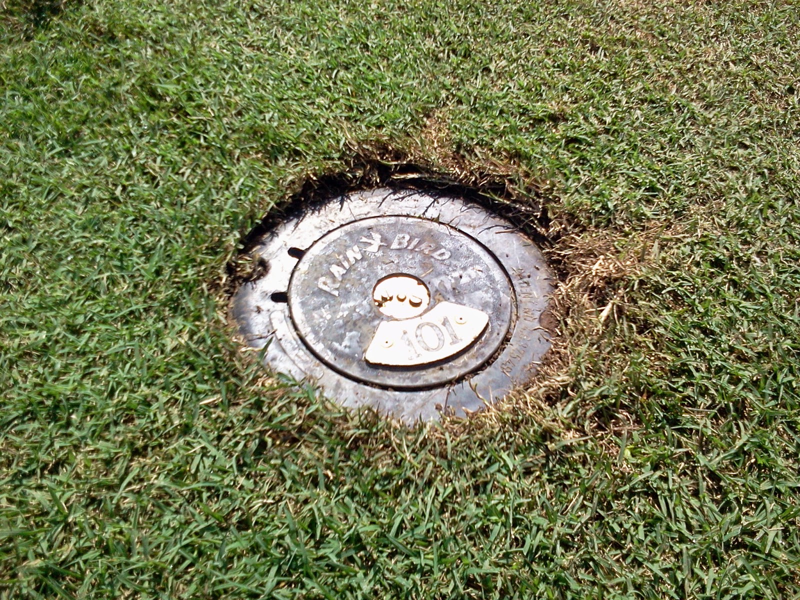 Grounds Department Blog Edging Sprinkler Heads