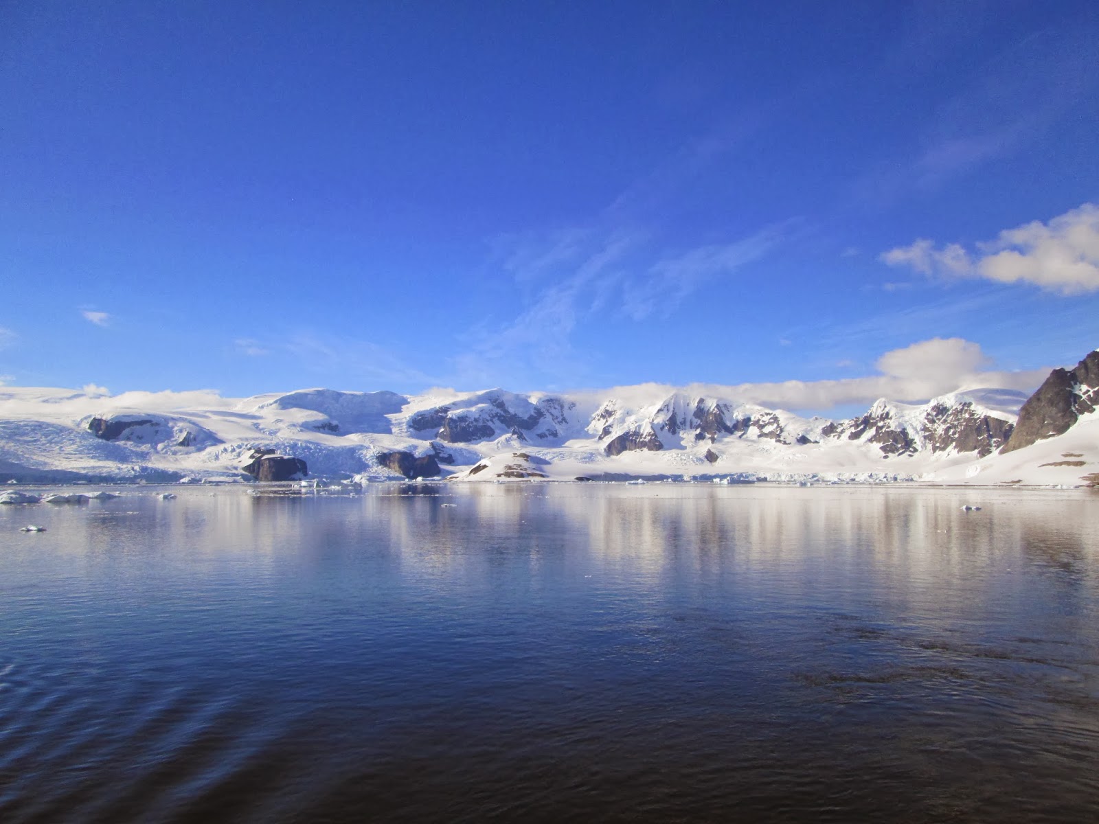 To Travel is to Live Cuverville Island, Neko Harbour and