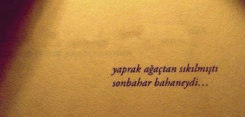 400 En Iyi Kitap Alintilari Goruntusu 2020 Kitap Alintilari Kitap Guzel Soz