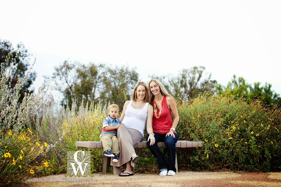maternity family portrait willow springspark