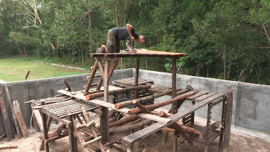 Enrichment in progress in the small enclosure