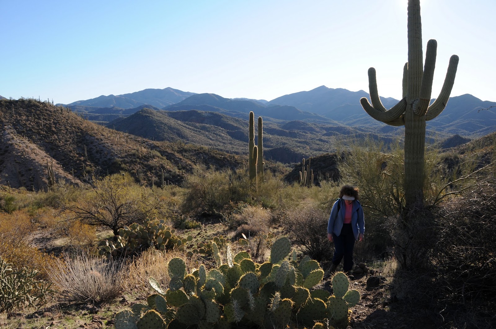 Arizona Hiking Safe hiking in summer heat