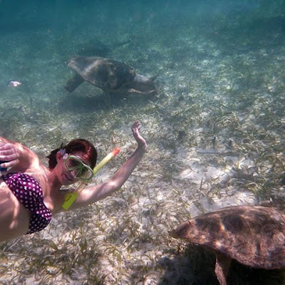 Remax Vip Belize: Silk Caye from underneath