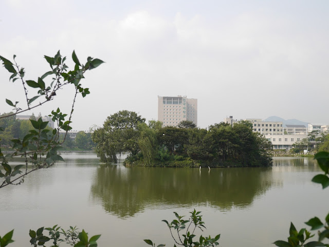 2015,summer 於是我就在韓國了 Day5