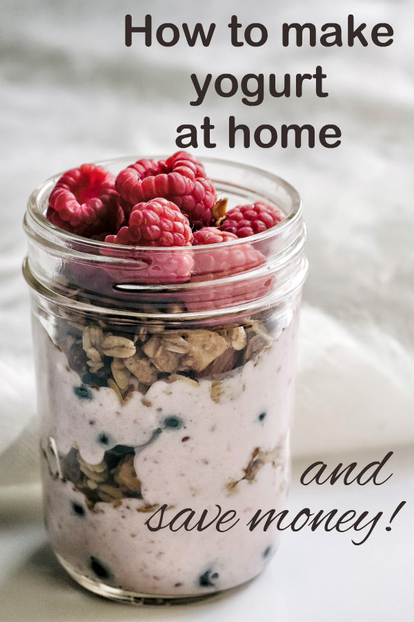 How To Make Yogurt At Home And Save Money Oak Hill Homestead