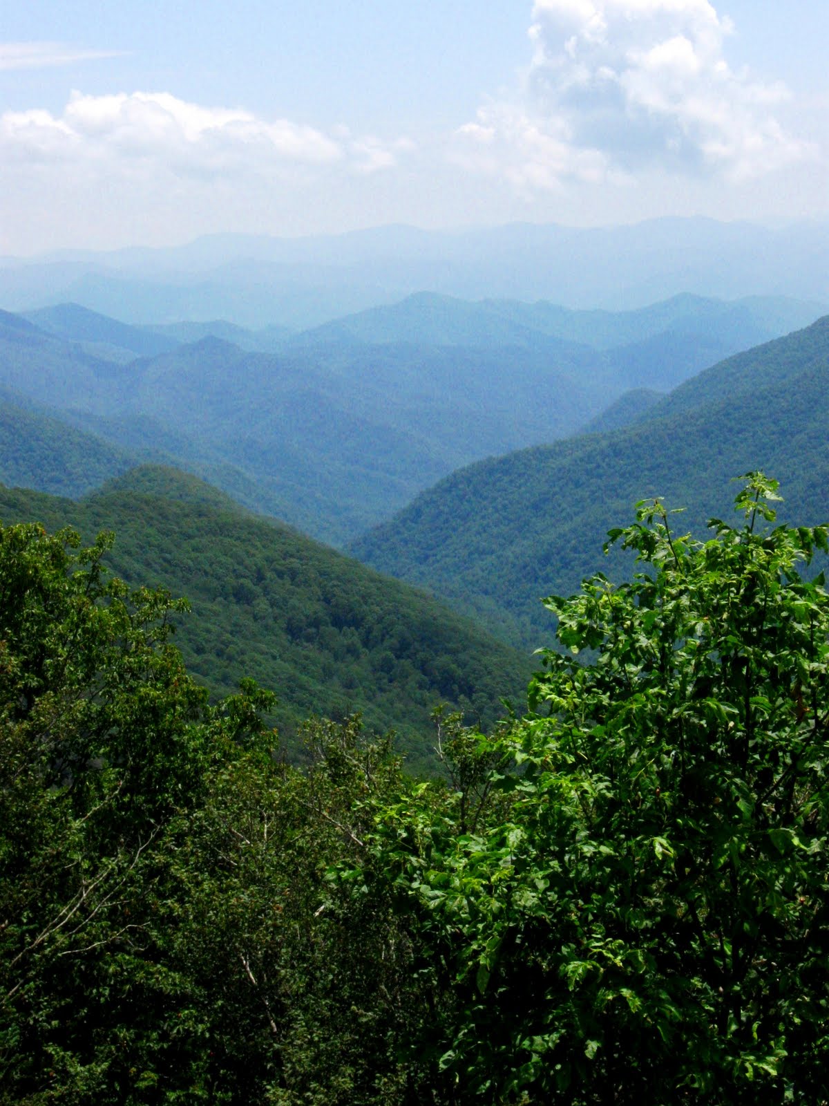 Blind Bartimaeus: 49 by 29: July 6 - Thou shalt not…