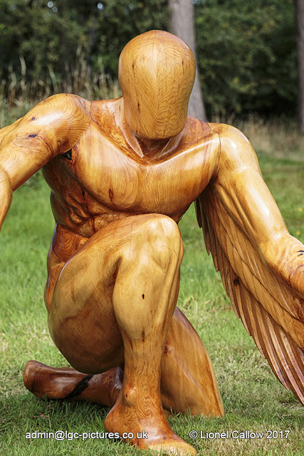 Gree Guardian Angel Close up of wood sculpture showing the colour and texture by Ed Elliott