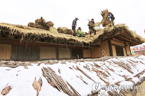 Campesinos coreanos cambiando el tejado de paja de una casa tradicional