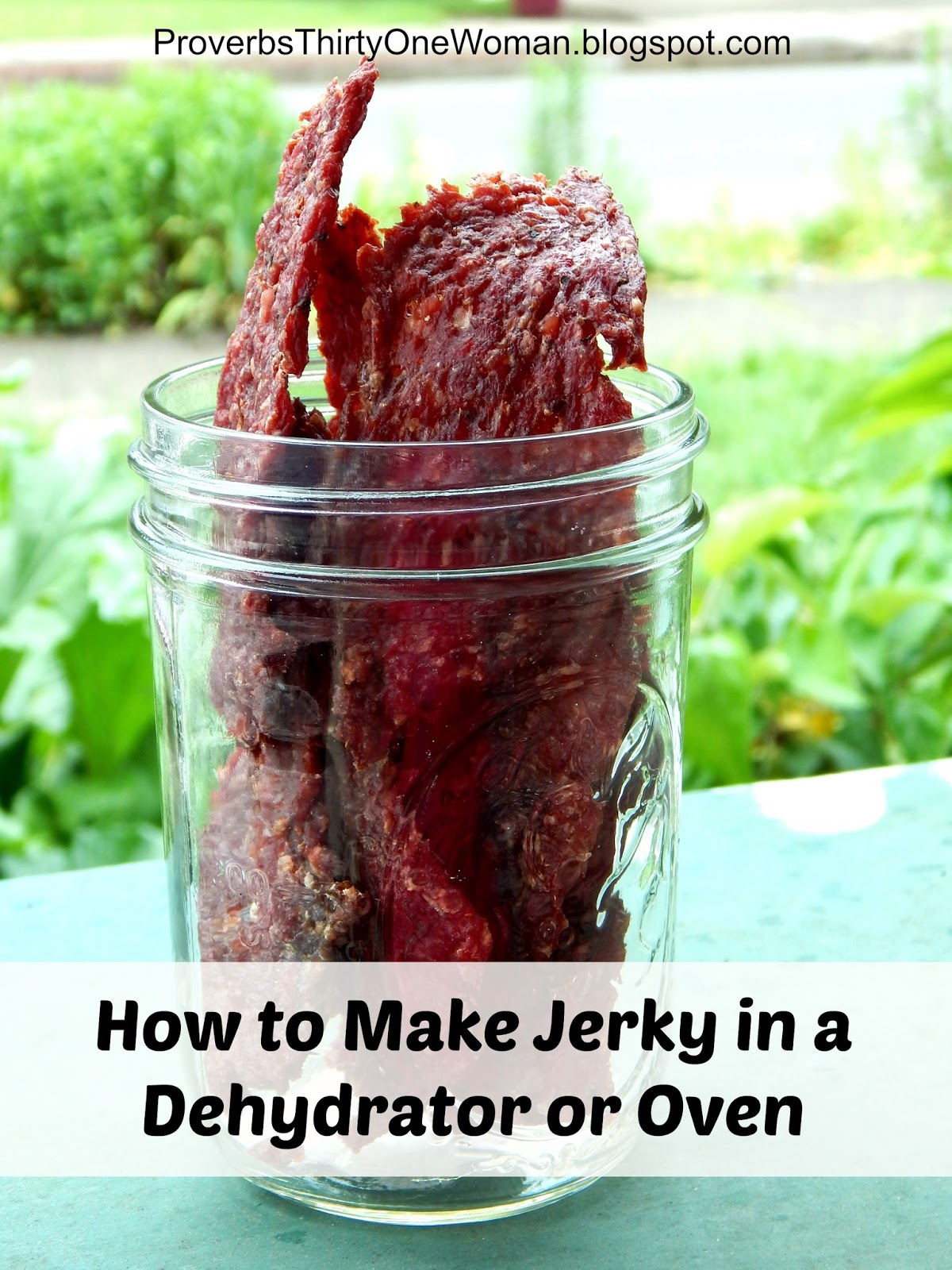 Making Jerky Part I How to Make Jerky with a Food Dehydrator or Oven
