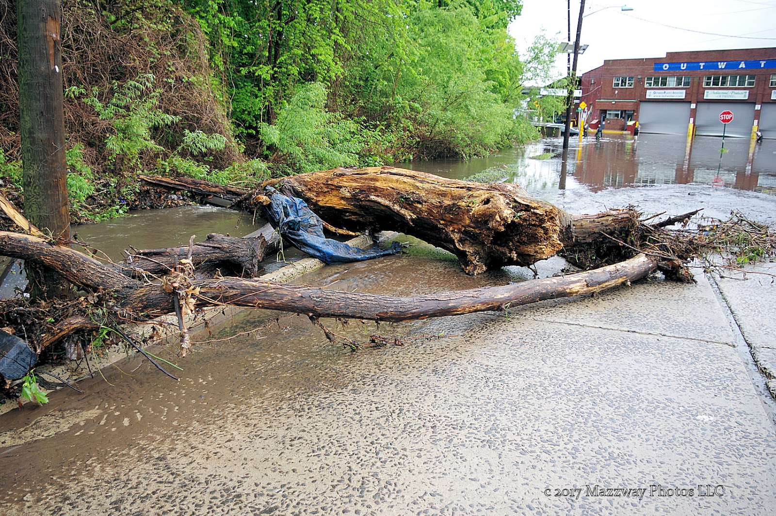 Bogota Blog NJ Flooding