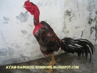 Ayam Saigon