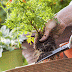 Teaching Associate Recruitment-M. Sc. (Ag) in Horticulture
