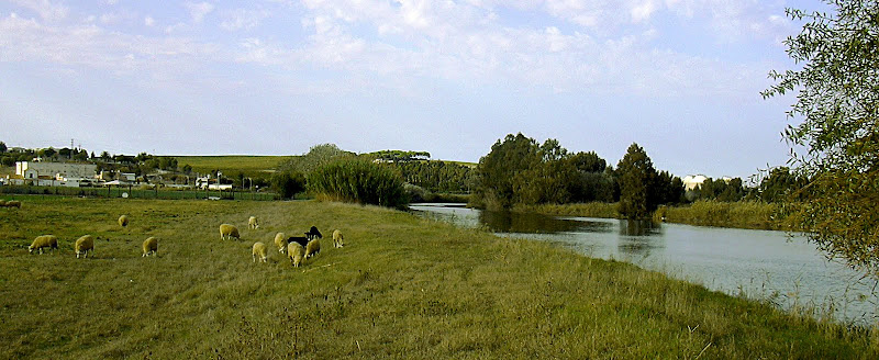Río Guadalete