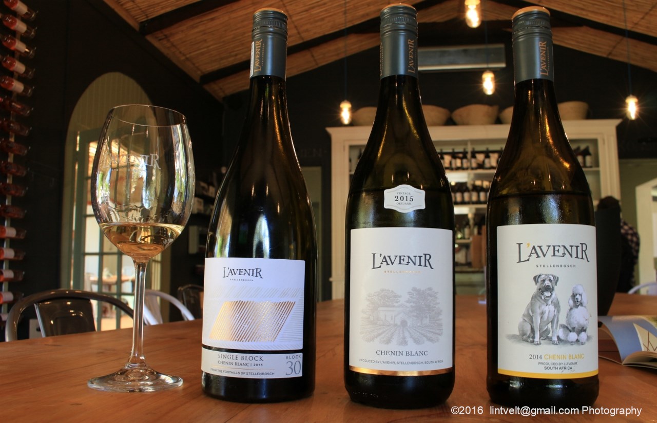L’Avenir Wine Estate South Africa