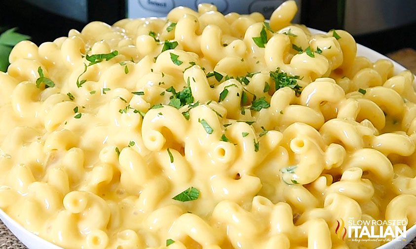 creamy mac and cheese in a crock pot creamy mac and cheese in a crock pot