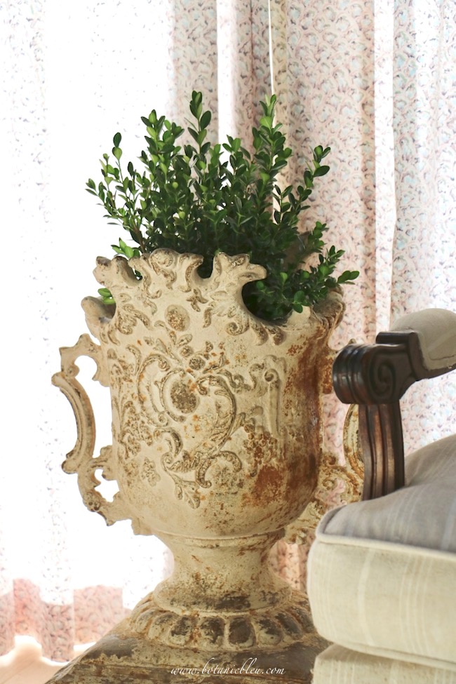 Summer French Country Living Room Estate Urn With Live Boxwood