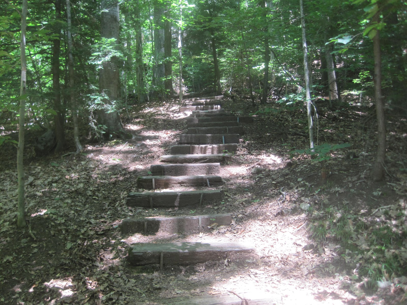 Mt.Tom Billy Goat 2 Chapel Brook Reservation Ashfield Ma. Ashfield