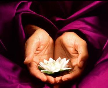 Saúde é Consciência: 11 SINTOMAS DE PAZ INTERIOR