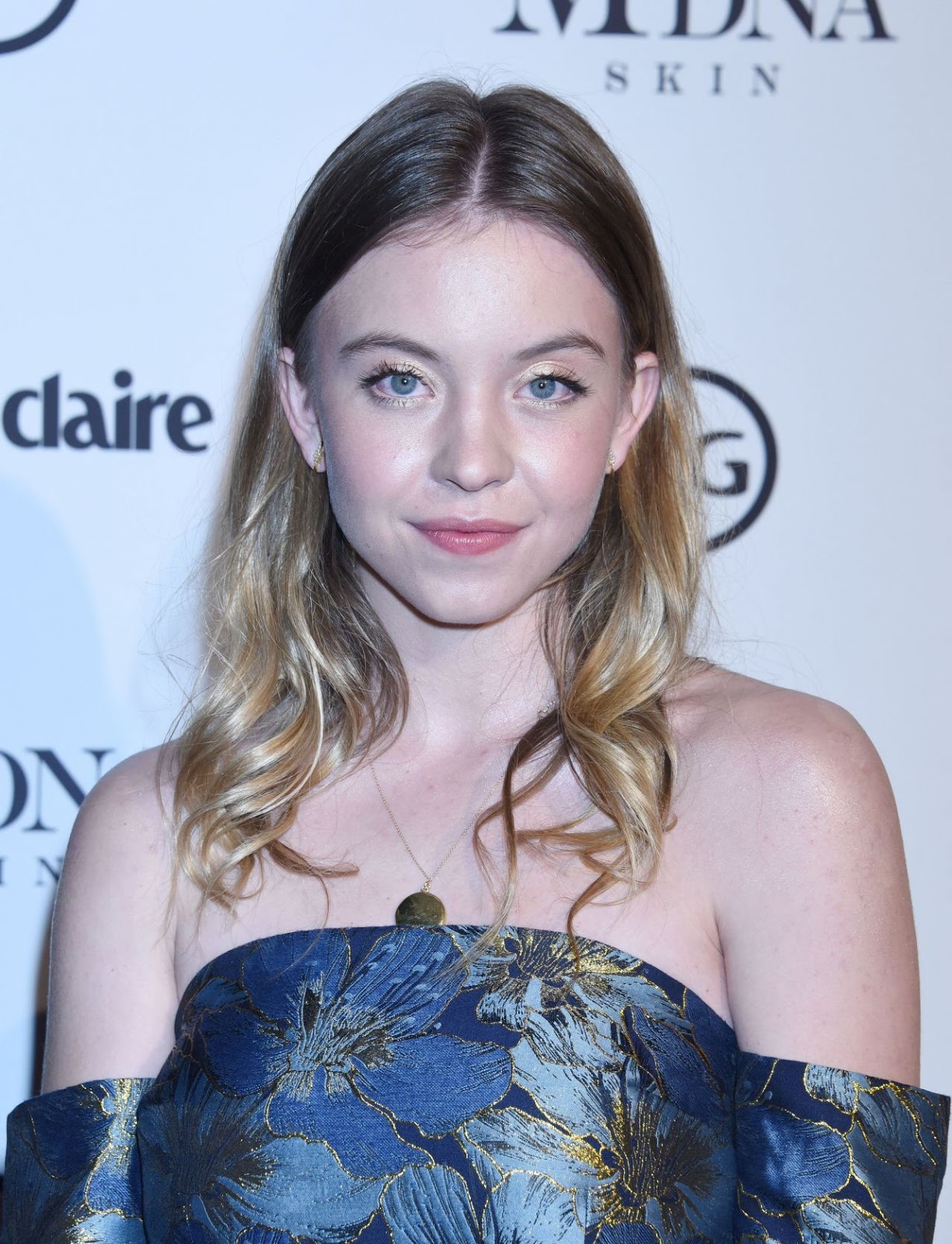 Sydney Sweeney nude (86 fotos), leaked Erotica, iCloud, in bikini 2016