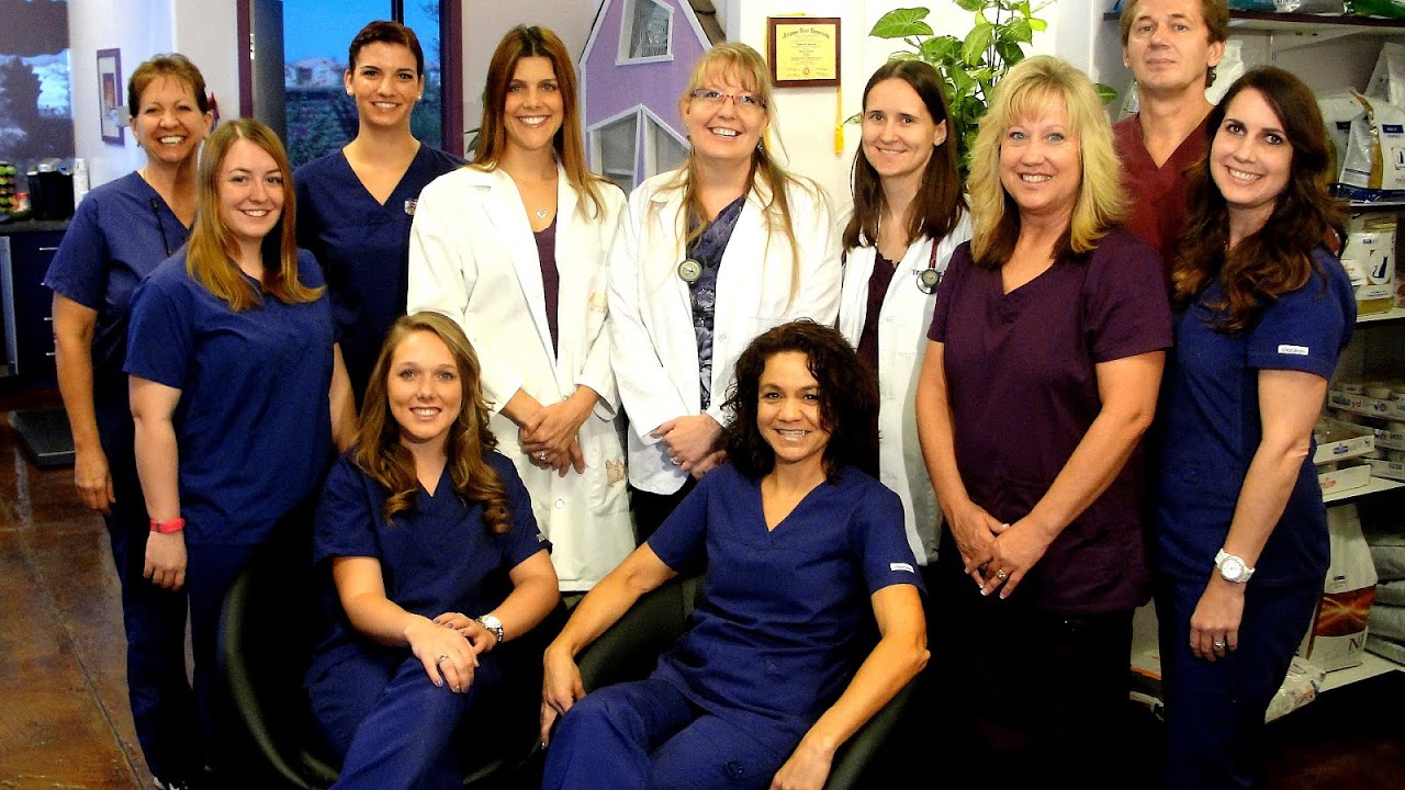 Veterinary Technician Schools In Arizona School Choices