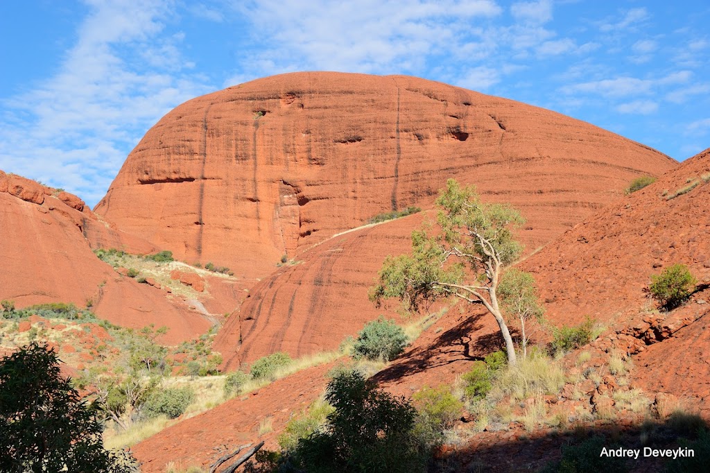 Ката-Тжута (Kata Tjuta, Ката-Тьюта)