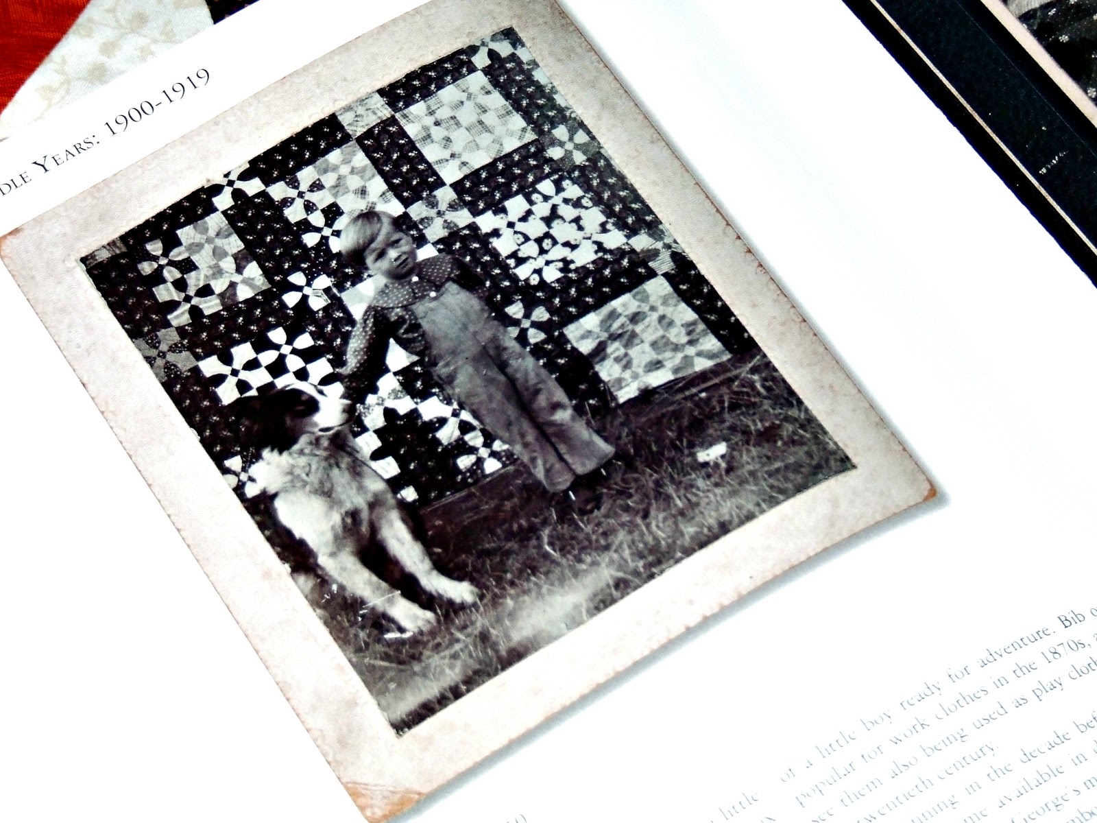 Ariane Quilts Quilts In Everyday Life, a book review!!