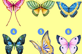 Kupu-kupu yang Kamu Pilih Dapat Mengungkapkan Sisi Tersembunyi Kepribadianmu