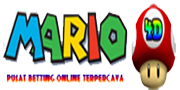 Mario 4D
