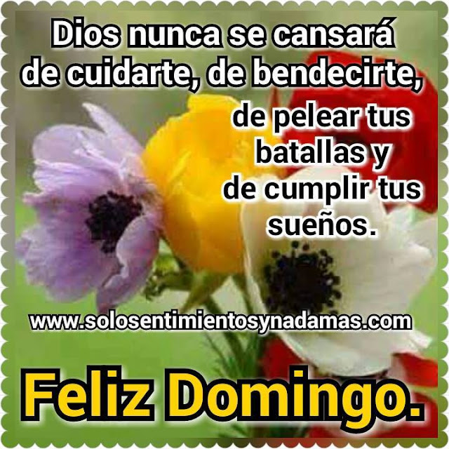 Feliz domingo.