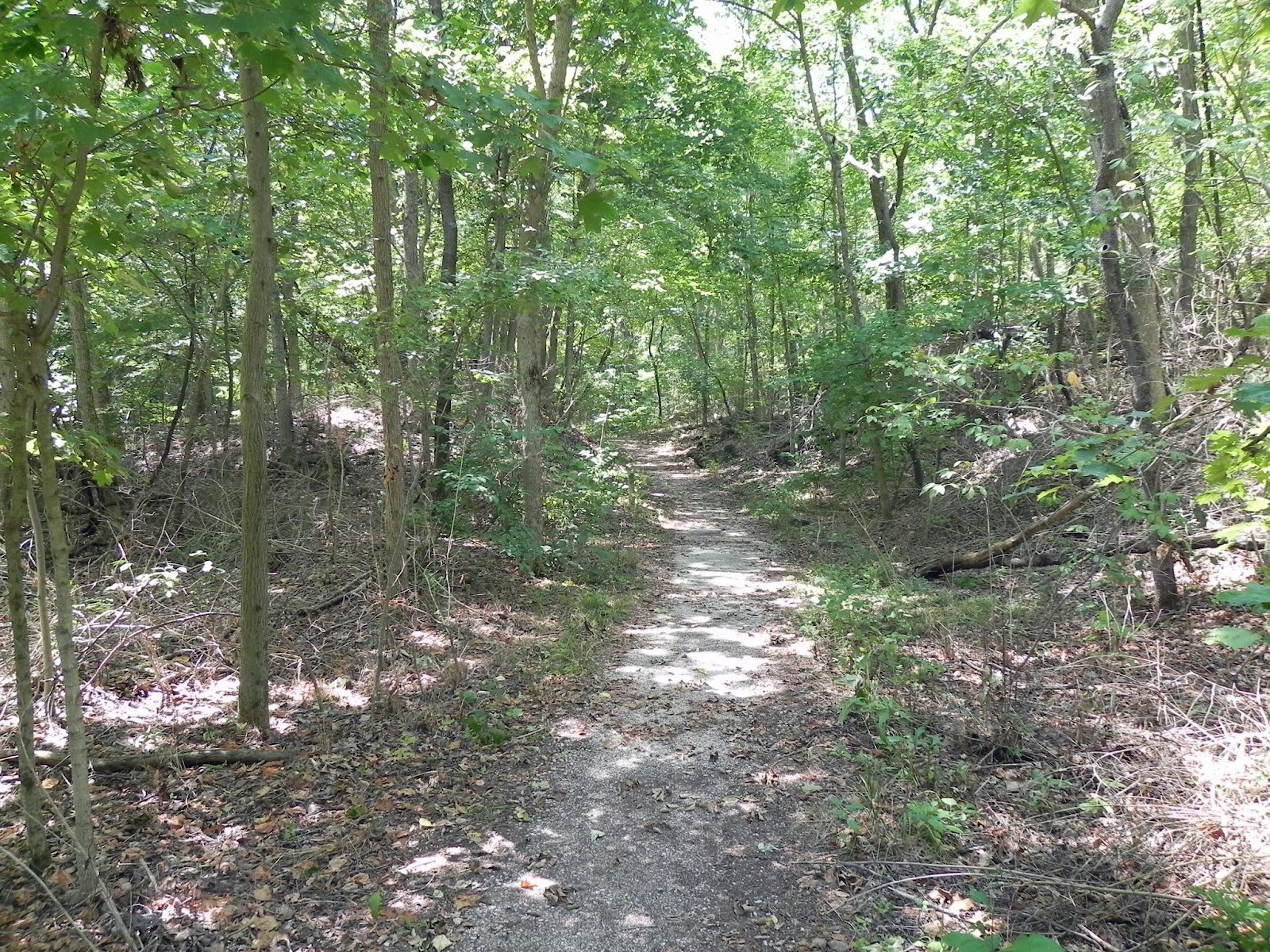 Rock Quarry Trail, Rockwoods Reservation