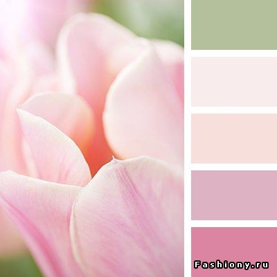 Пин от пользователя Светлана Баженова на доске Сочетание цветов Флористика, Соче