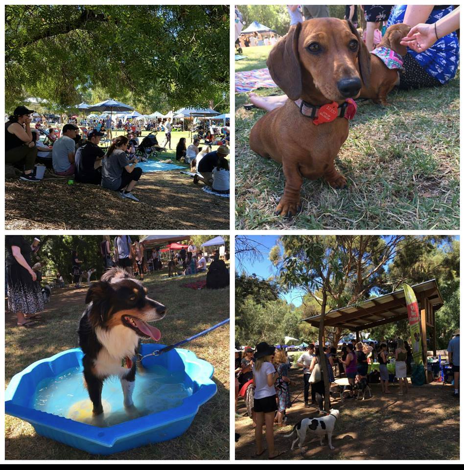 Dogapalooza Adelaide 2018 March 18 Australian Dog Lover