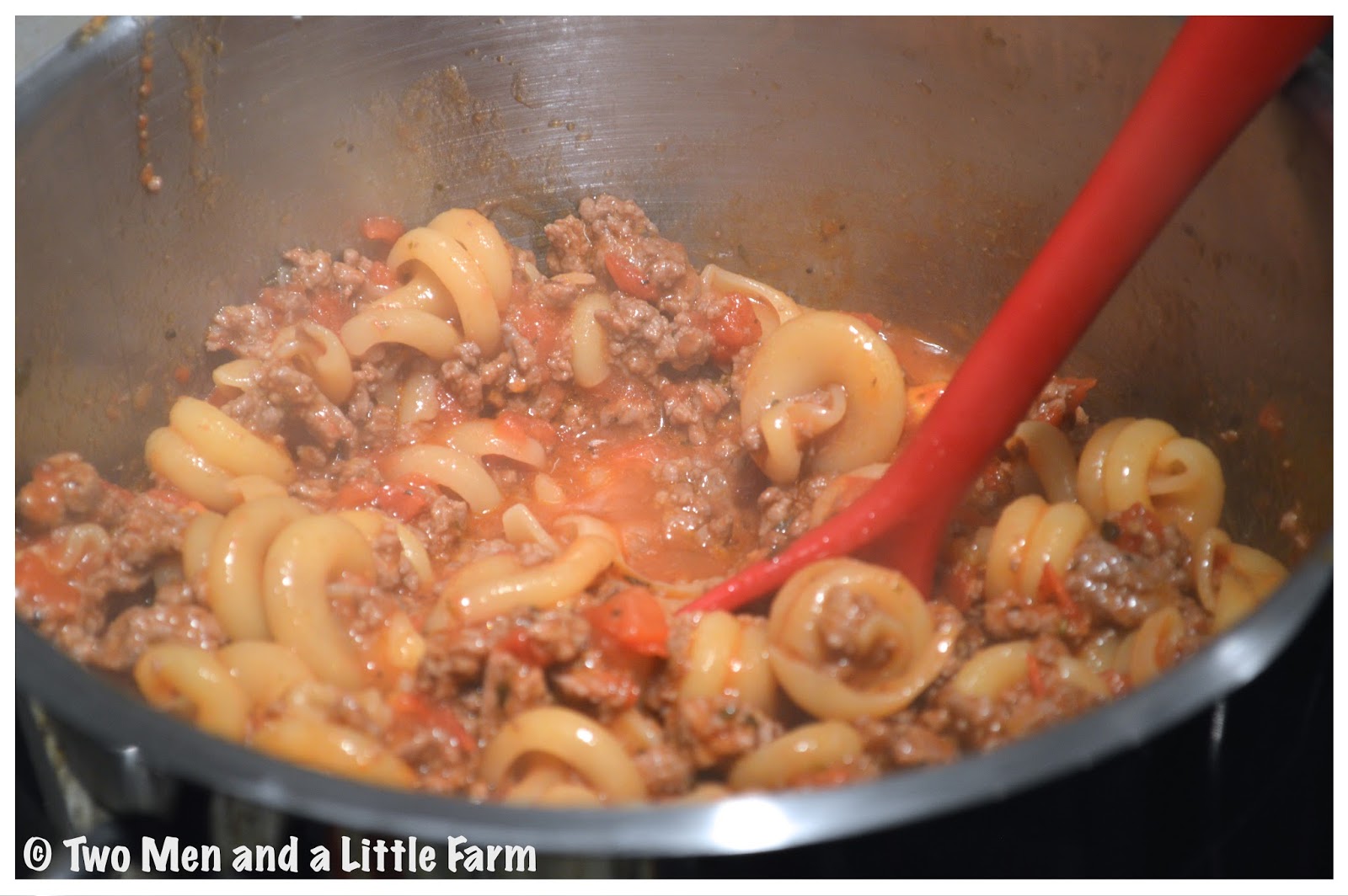 Two Men and a Little Farm: FRESH TOMATO PASTA SAUCE RECIPE