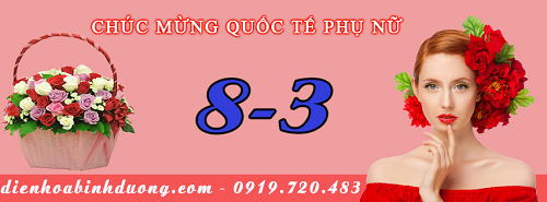 [Image: dienhoabinhduong8.png]