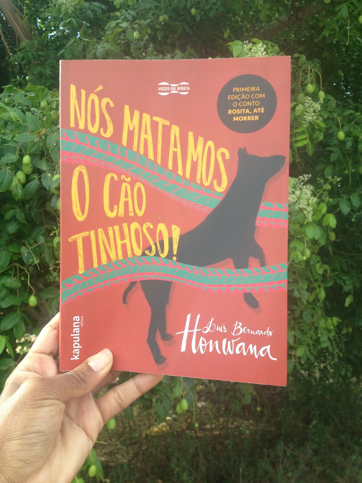 Nos Matamos O Cao Tinhoso Pdf
