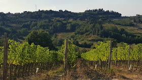 Torricciola Fattoria Fibbiano winery Tuscany