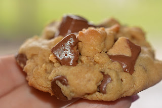 Over the Top Reese Peanut Butter Cookies by Hugs and Cookies XOXO.