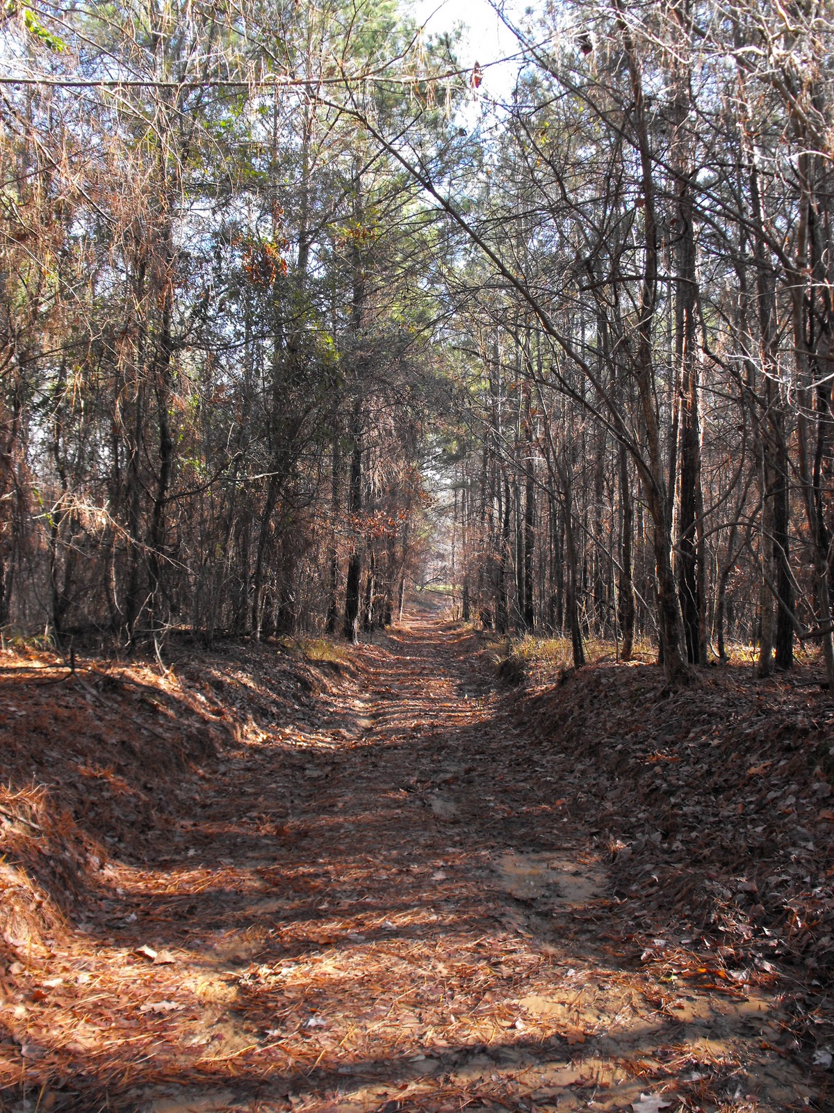Marian's Hunting Stories, etc., etc., etc... An Arrowhead Afternoon Hunt