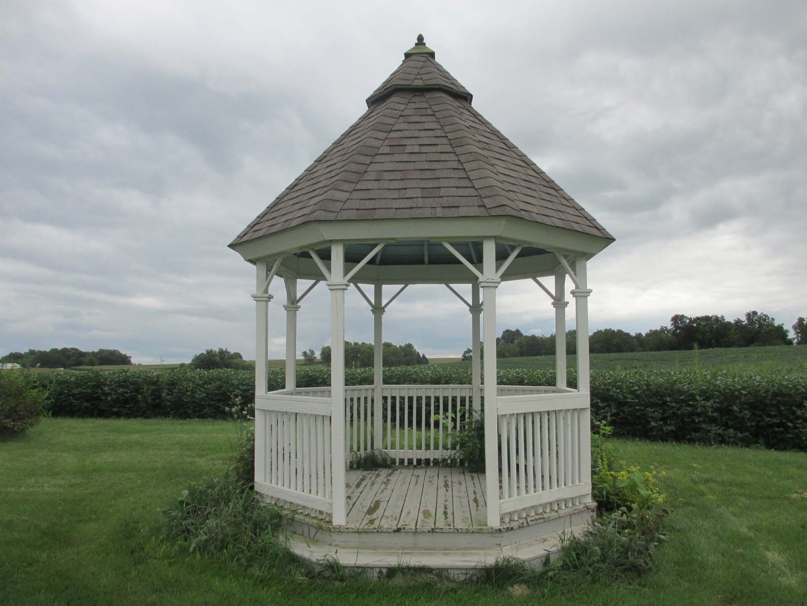 Garden Fancy Before & After