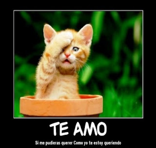 Imagenes de Amor Y Amistad con Frases, san Valentin, Gratis, para Descargar Imagenes de Amor