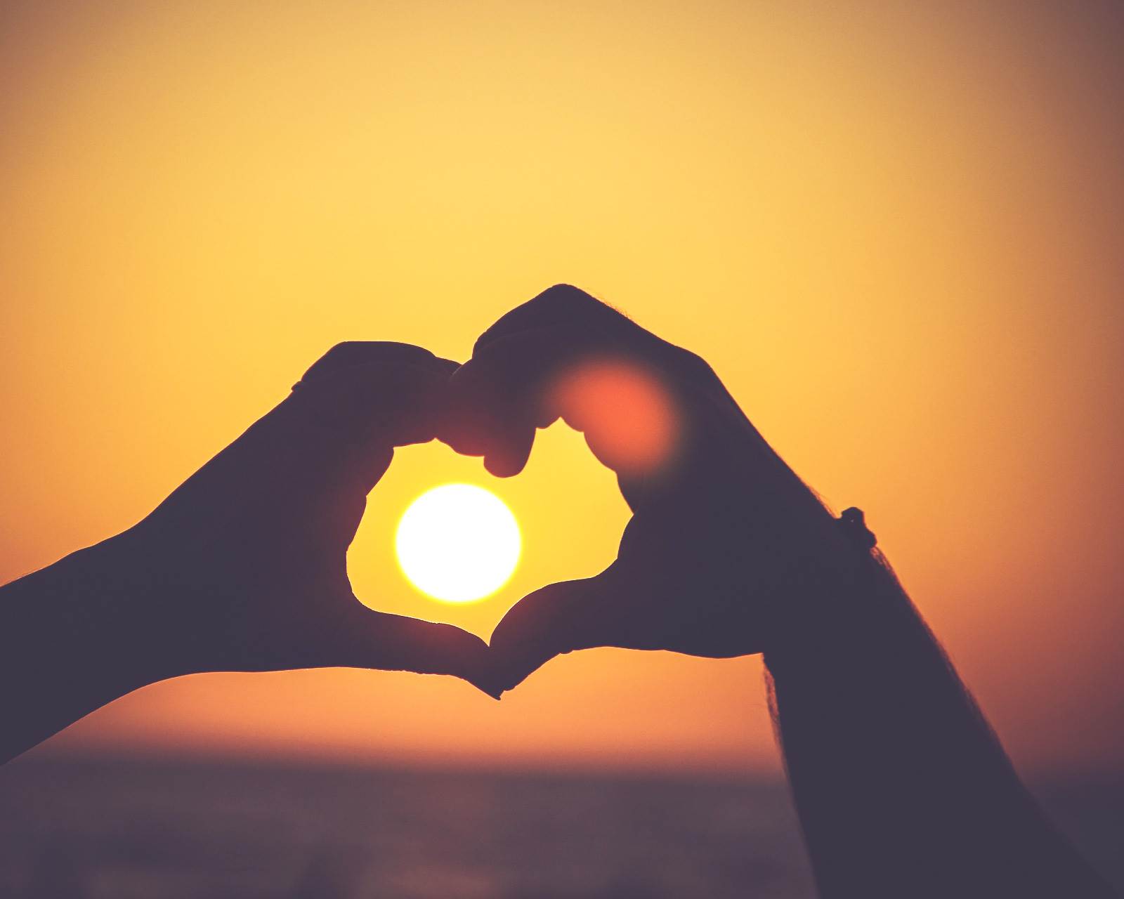 Cosmorex -short science articles : What is the meaning of LIFE