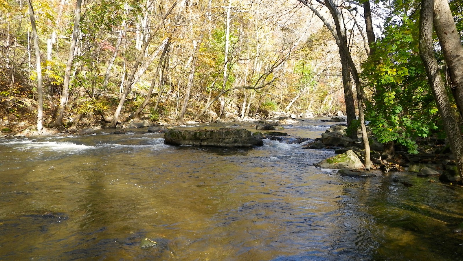 musconetcong gorge fishing
