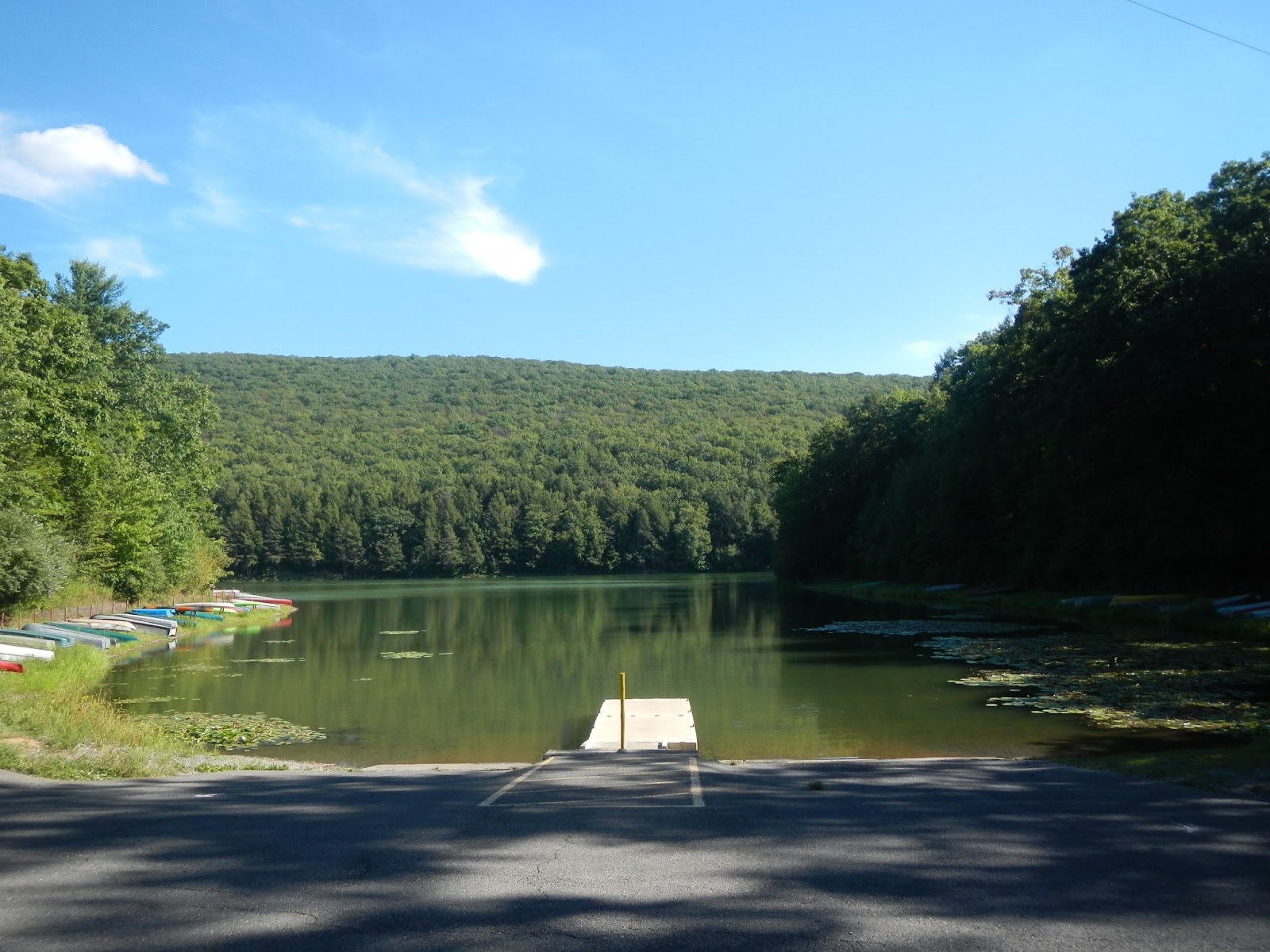 Taking Out the Trash in Eastern PA Tuscarora State Park (30Aug2016)