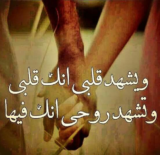 رسائل وصور حب 2019 صورحب مع كلمات رائعه مصراوى الشامل