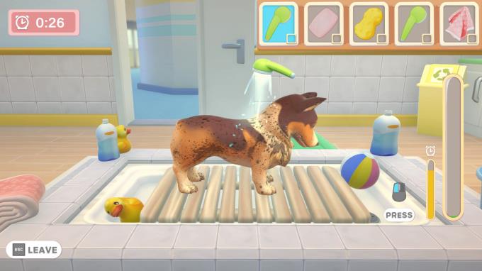 My Universe - Pet Clinic Cats & Dogs Torrent Download