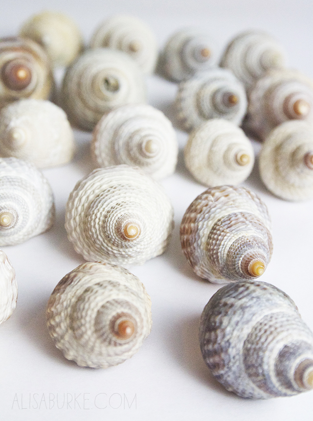 alisaburke: the art of collecting