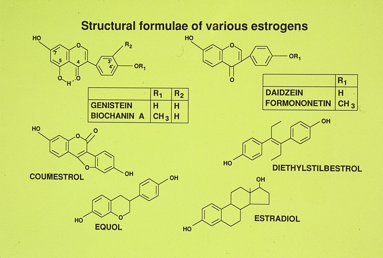 hormones and other science animal endo 2011 zearalenone, phytoestrogens