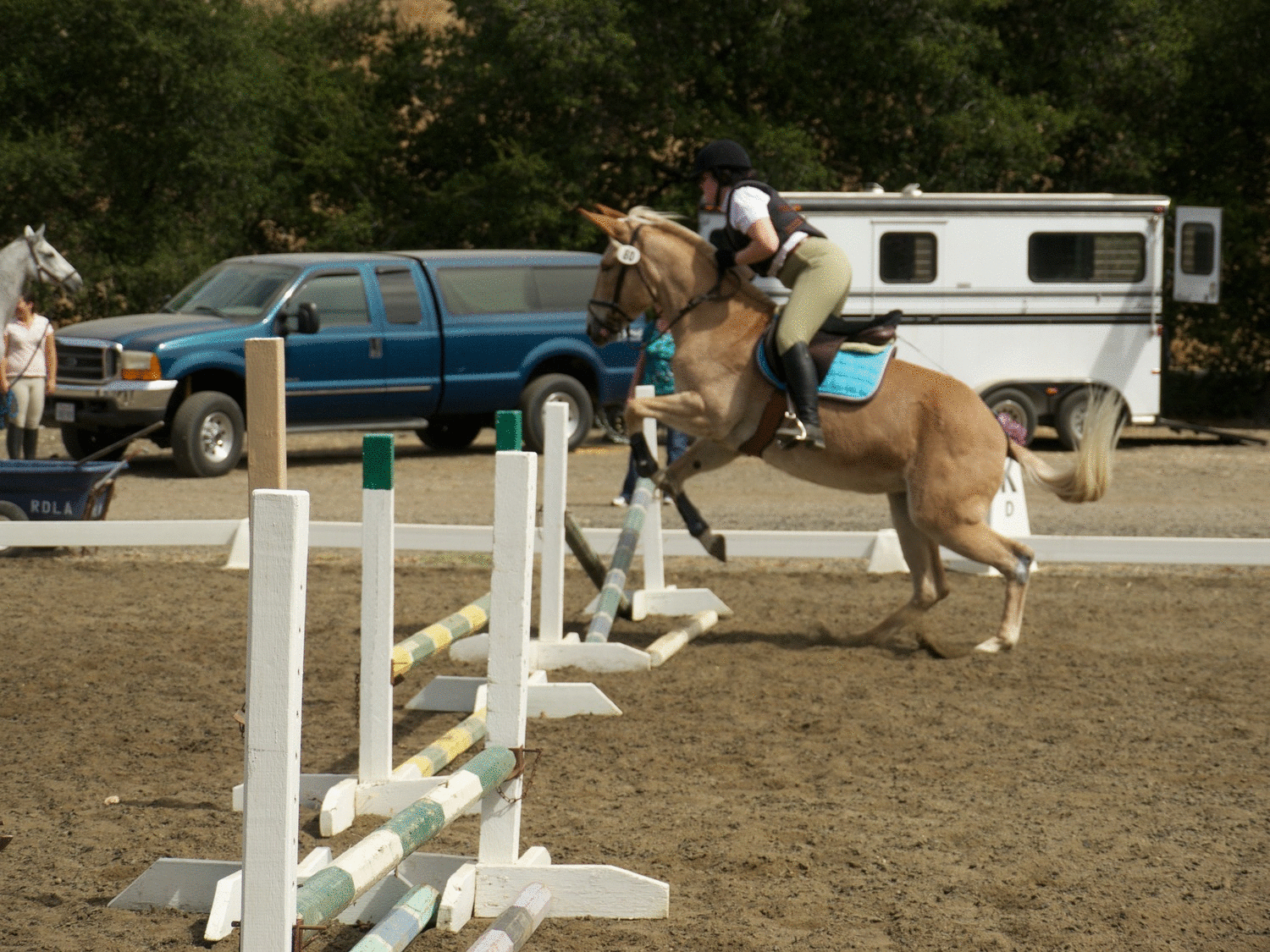 Do It Yourself Horse Ownership RDLA Horse Trials Show Jumping